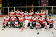 <h5>2014 Hong Kong Cup</h5>
